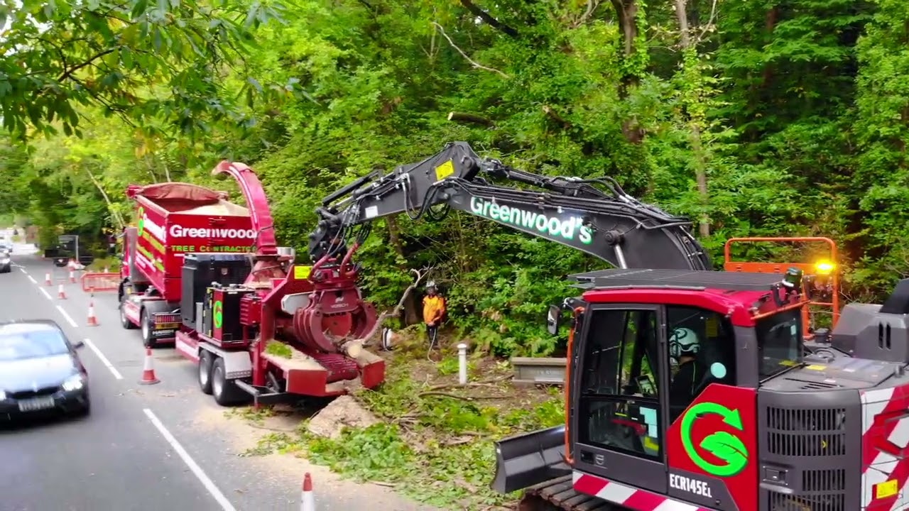 Greenwoods Tree Contractors - Tree Clearing in Windlesham, Surrey
