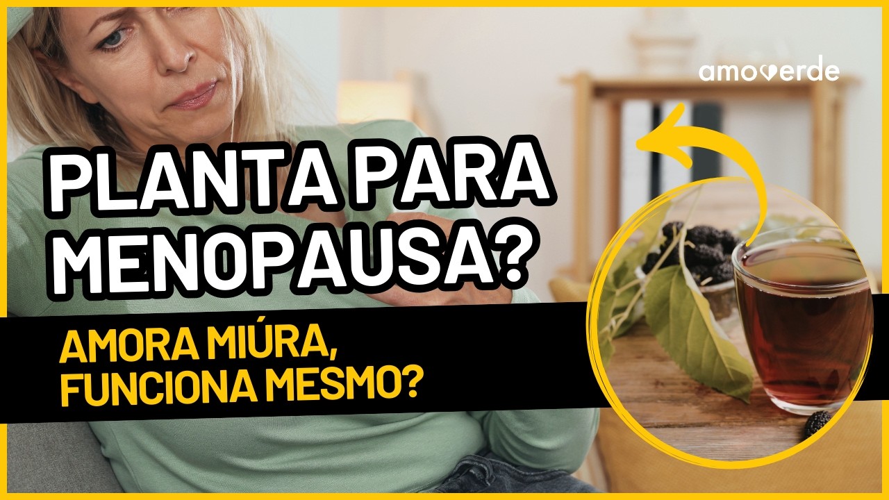 Menopausa e Fogachos: A Amora Miúra Pode Ajudar?
