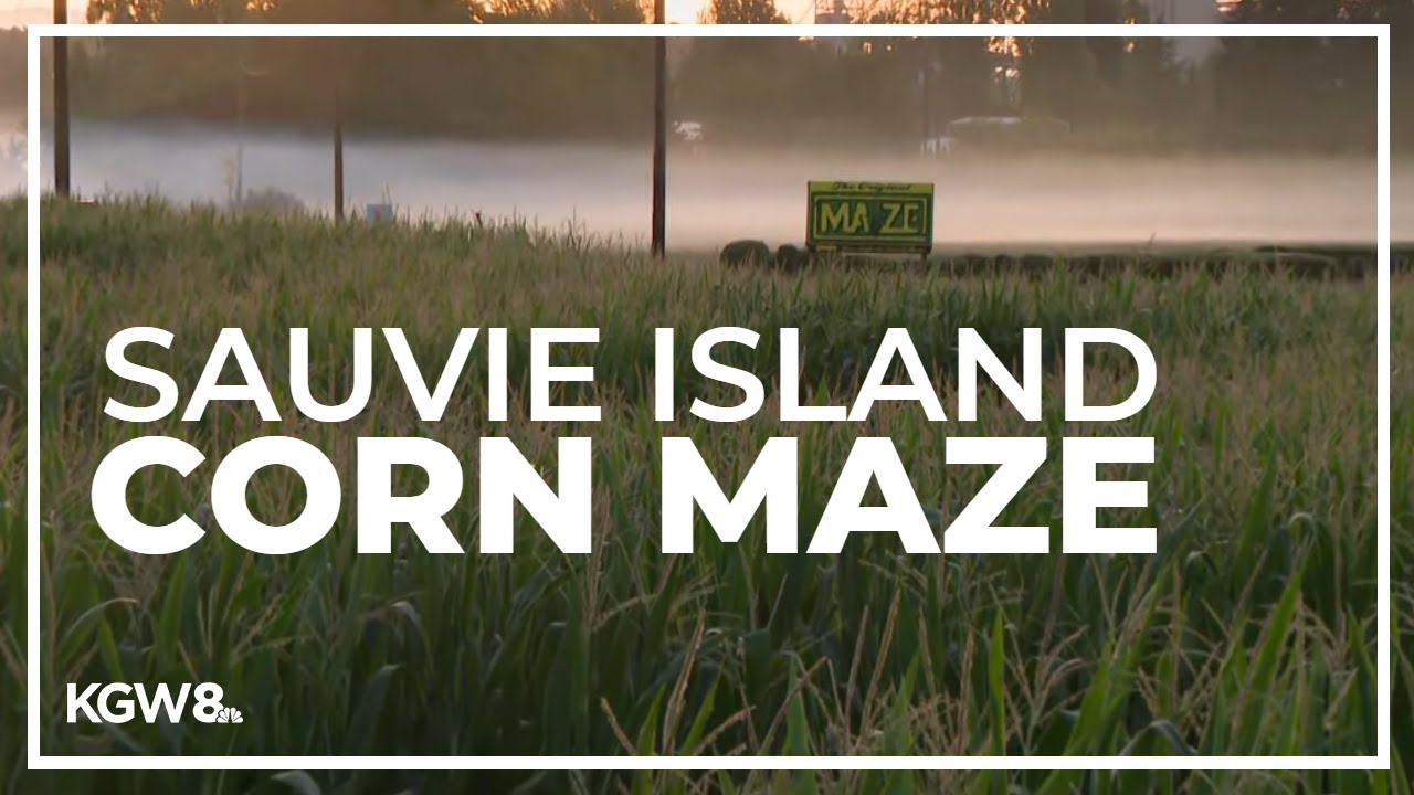 25th Anniversary of The Maize at the Pumpkin Patch on Sauvie Island