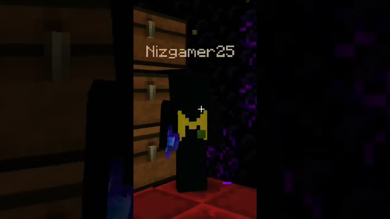Lapata smp Matrix reviled 🤔🧐। niz gamer x kopi op