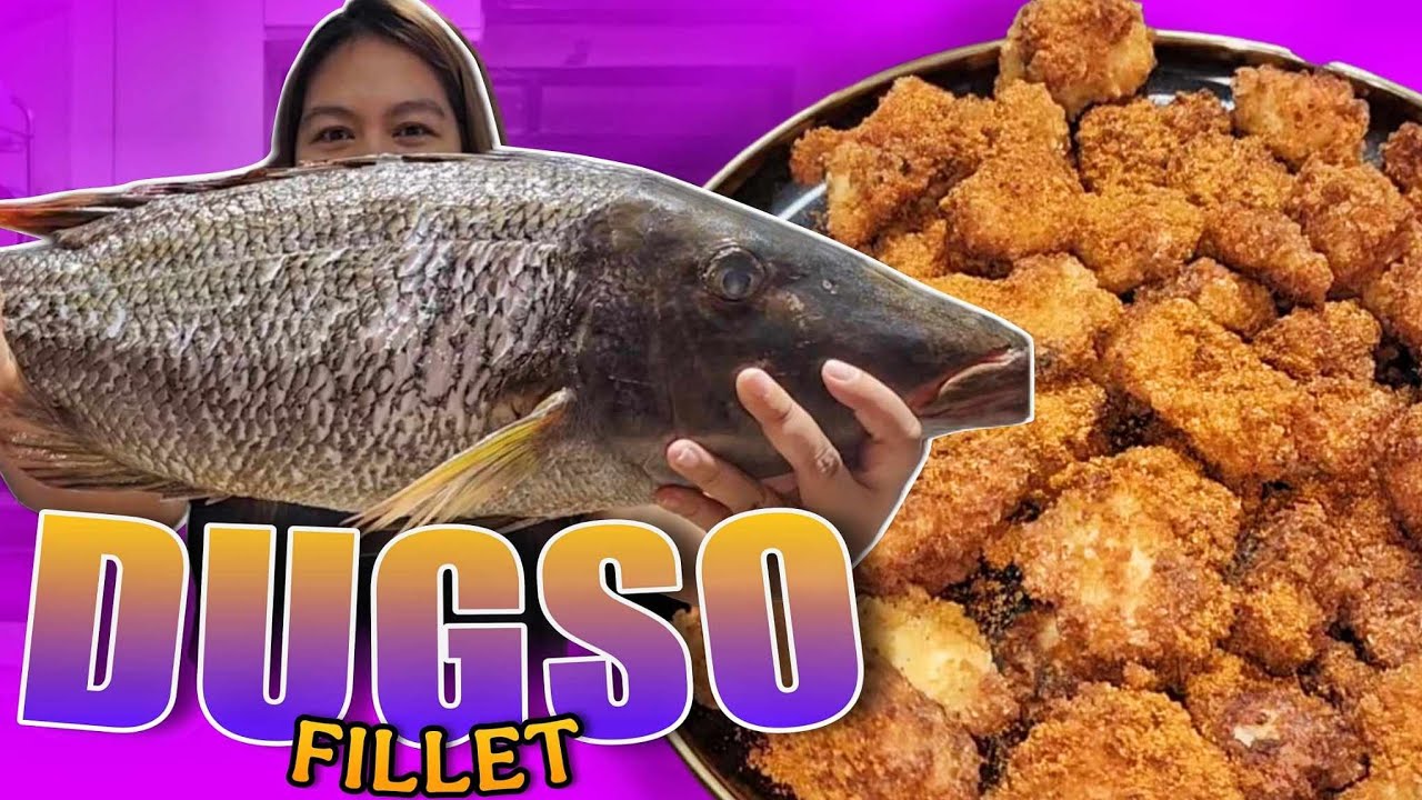 Dugso at Maraming Kwento