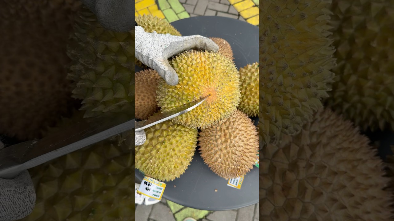 Durian 1.530.000 #fruit #durian #masduren
