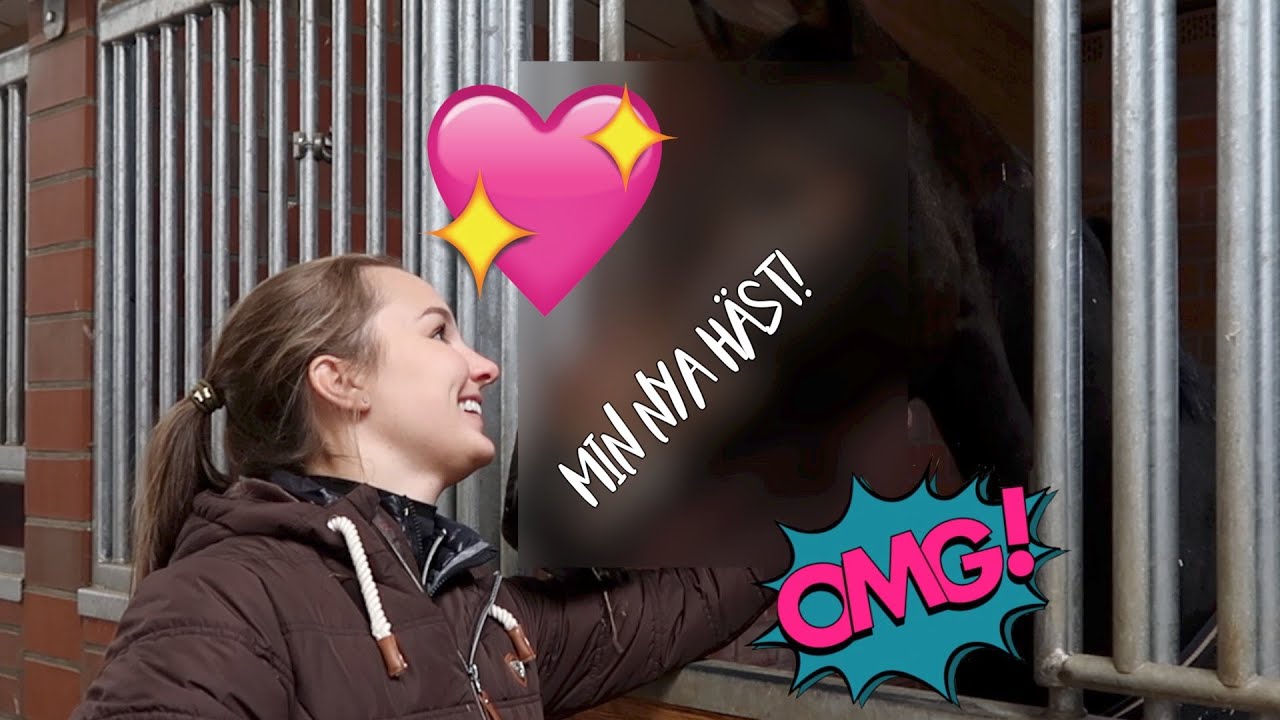 ♘HÄSTVLOGG♘ HÄMTAR HEM MIN NYA HÄST! + första ridpasset 😬
