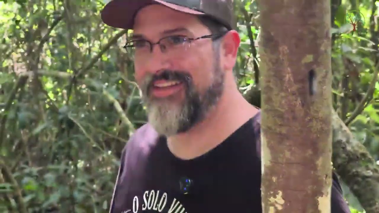 Caminhada na Trilha 🌿 Sustentabilidade na Prática   Plantar em Casa @ruralcampocast