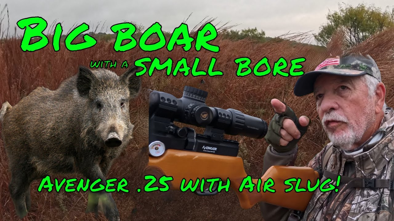 I go after&nbsp;Big boar with the .25 caliber Avenger PCP air rifle and NSA 29 grain slug!