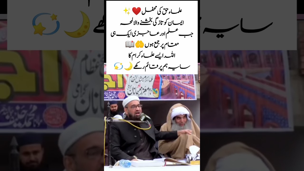 Heartfelt Discussion Between Two Scholars