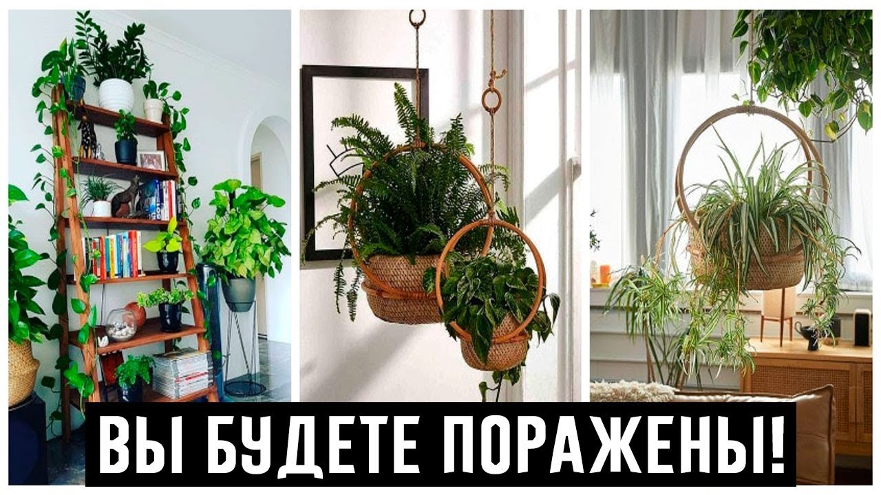 Пространство под цветы в квартире: оригинальные идеи, достойные внимания!