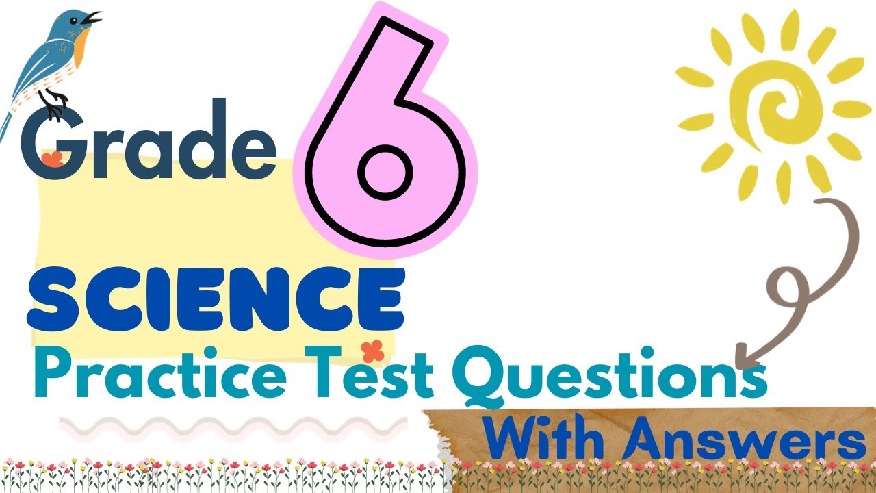 Exam Guide: Grade 6 Science (EM) Practice Test Questions With Answers