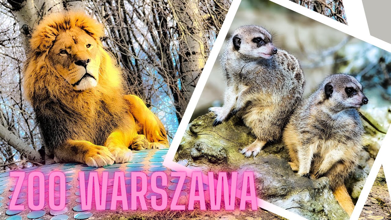 ZOO Warszawa - Miejski Ogród Zoologiczny