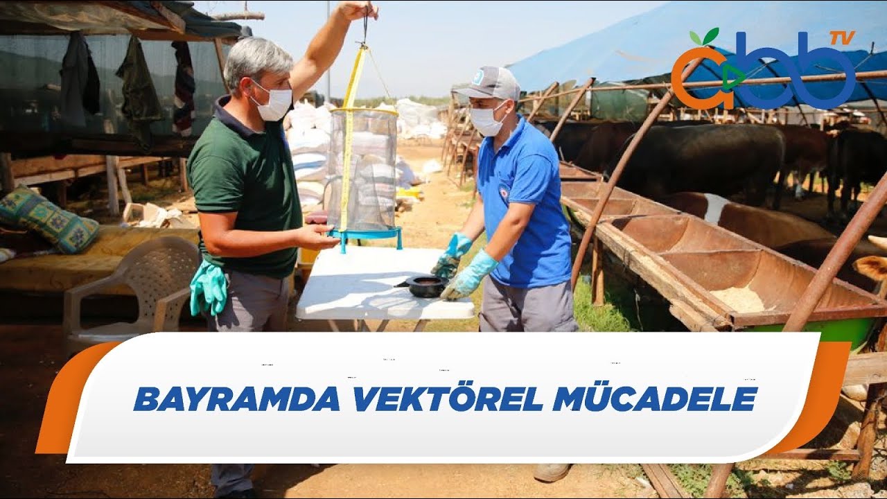 Bayramda Vektörel Mücadele | Antalya