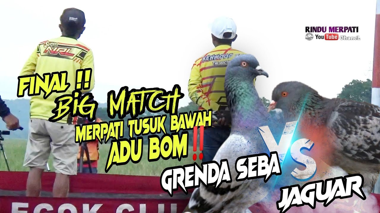 FINAL MANTAP !! ADU JEDOR GRENDA SEBA VS JAGUAR KENWOOD BIKIN PENONTON GEMURUH EVENT MOBIL