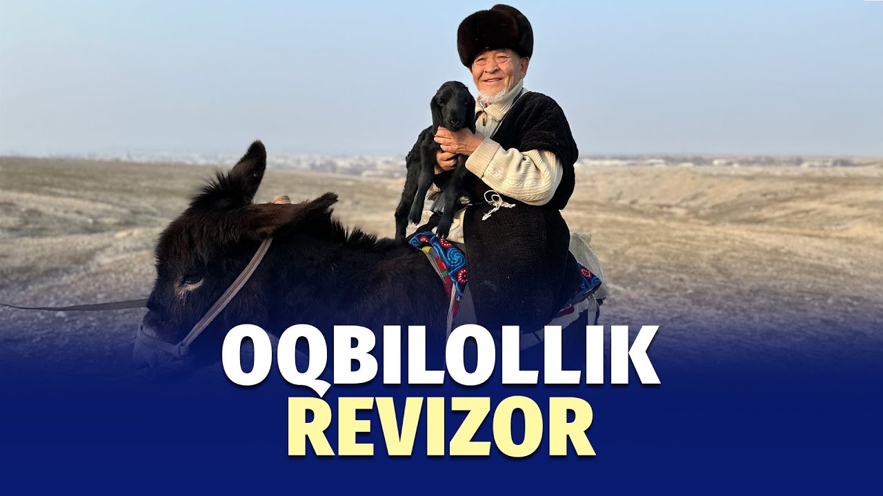 Qir odami: Oqbilollik Revizor