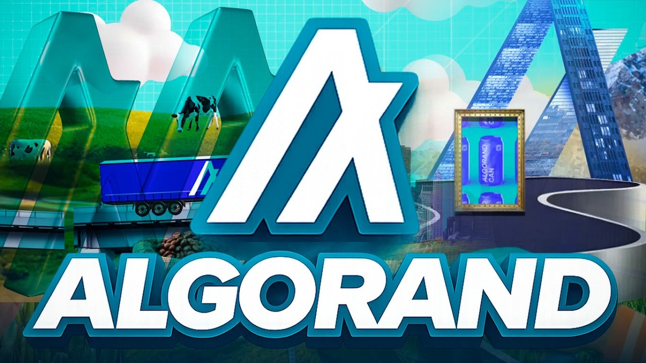 ALGORAND Holds Strong Post Google Report... New Developments
