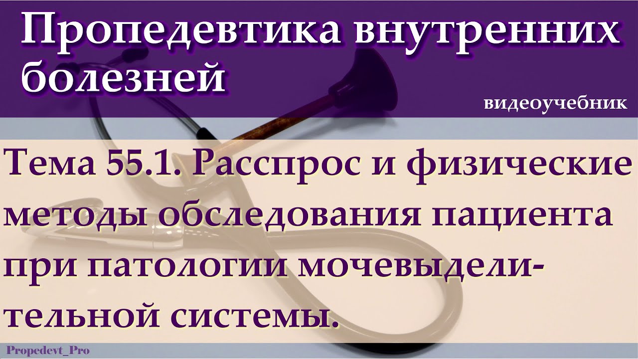 Тема 55.1. Расспрос, физические методы обследования пациента при патологии мочевыделительной системы