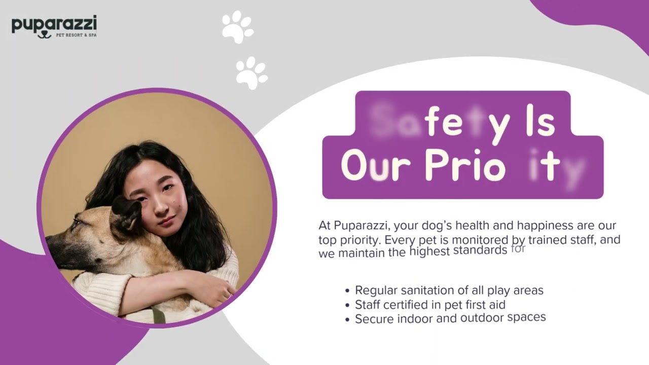 Best Dog Daycare in Los Angeles | Luxury Dog Hotel Services