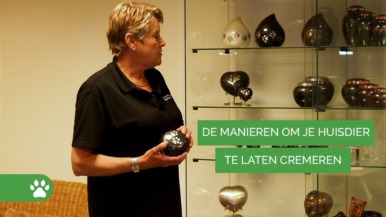 Je overleden kat laten cremeren - Rouw #2