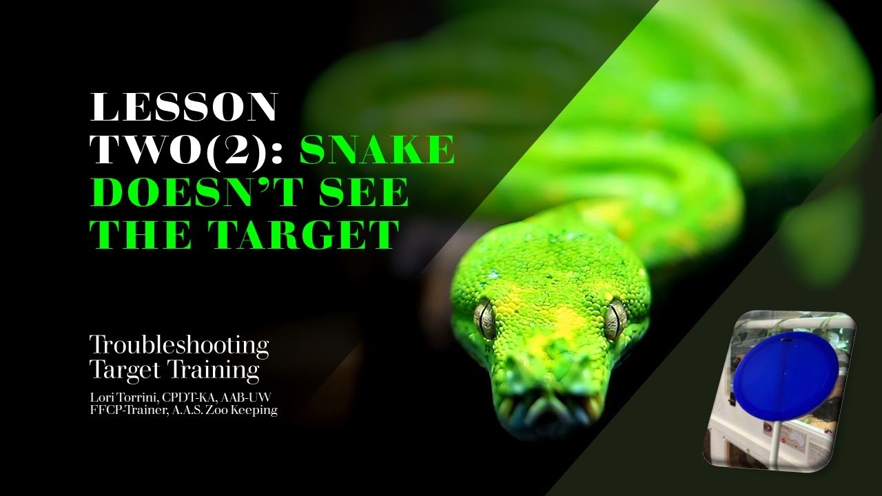 Troubleshooting Target Training Lesson Two (2): Snake Doesn't See the Target