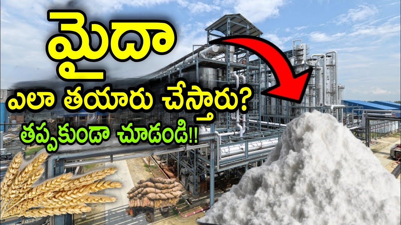 వామ్మో..ఫ్యాక్టరీలో మైదా పిండిని ఎలా తయారు చేస్తున్నారో చూడండి.. How maida is made in factory
