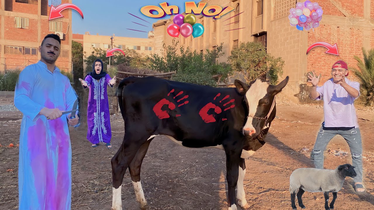 لما ابوك يجيب عجل العيد ويقرر ان هو اللي يدبحو 🤣😱|عمر نصر