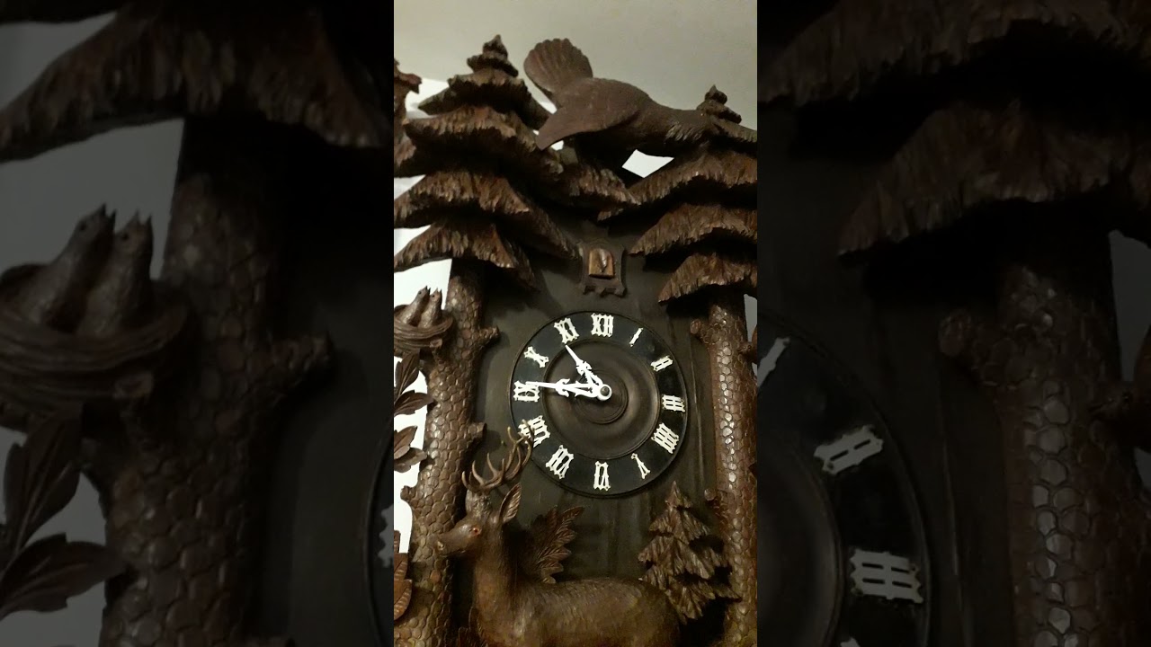 Westminster quarter strikes cuckoo clock.