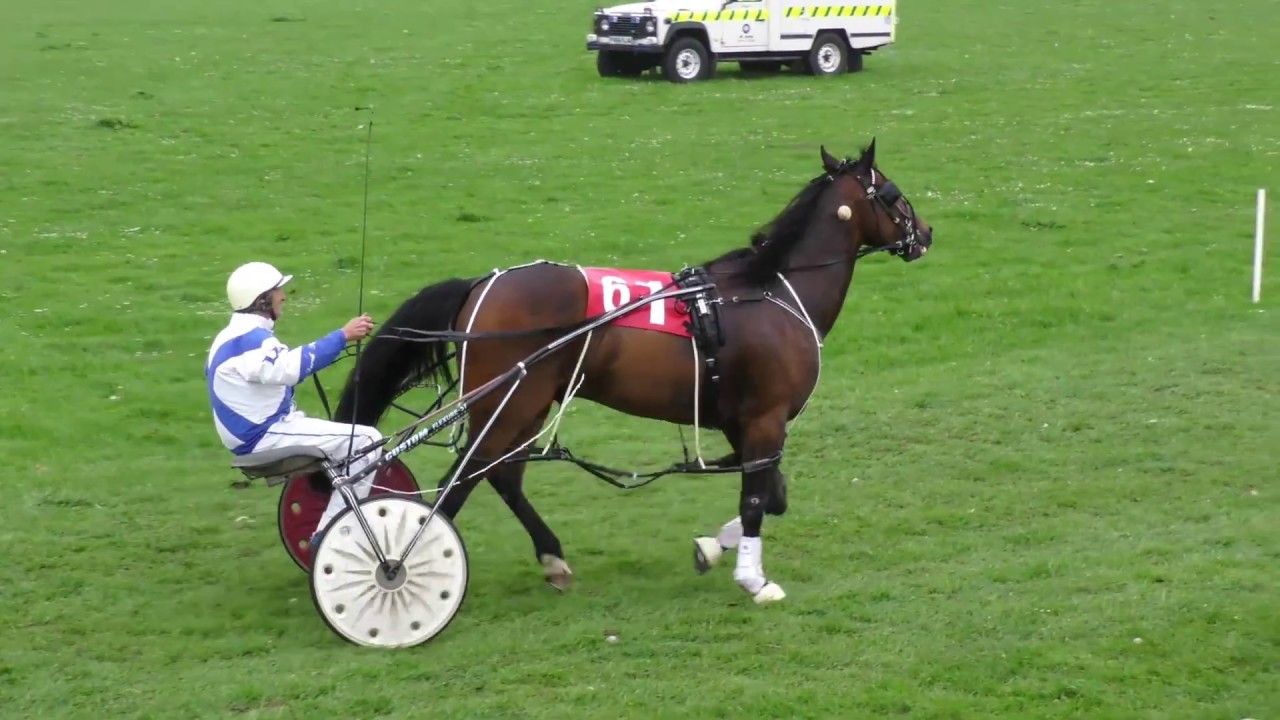 SYNOD INN RACES 2017 A FINAL