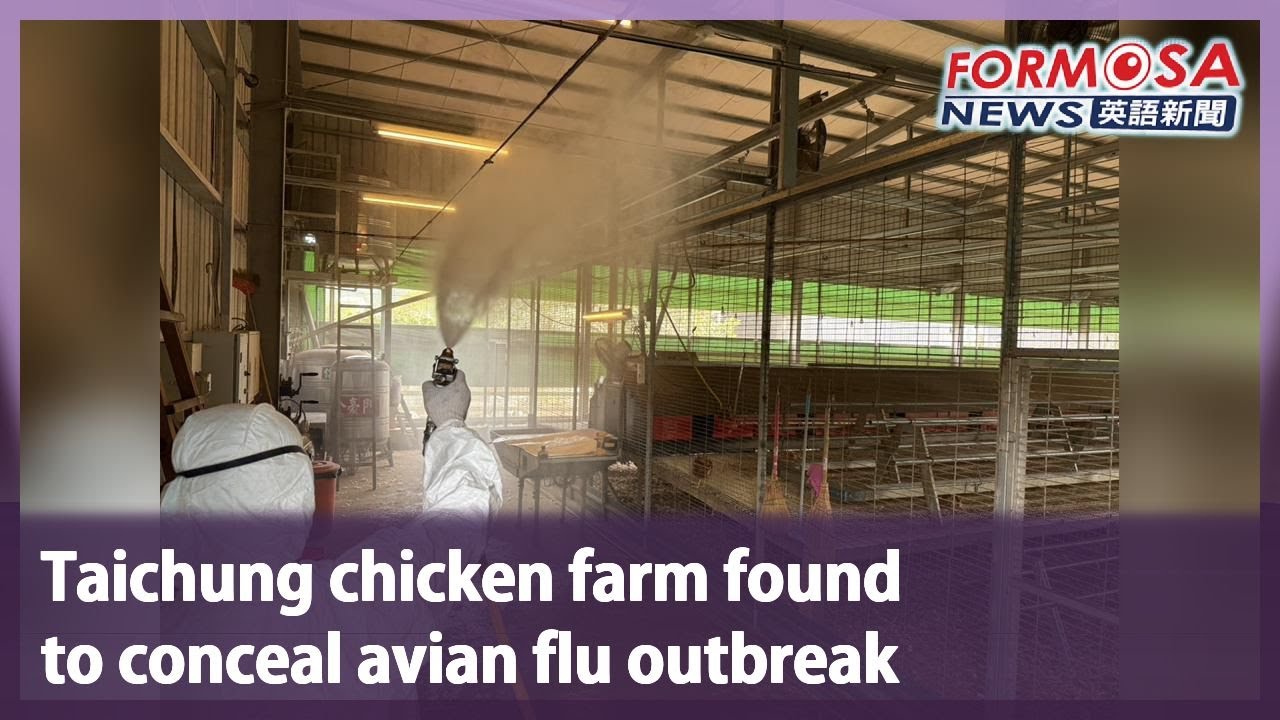 Taichung chicken farm found to conceal avian flu outbreak｜Taiwan News