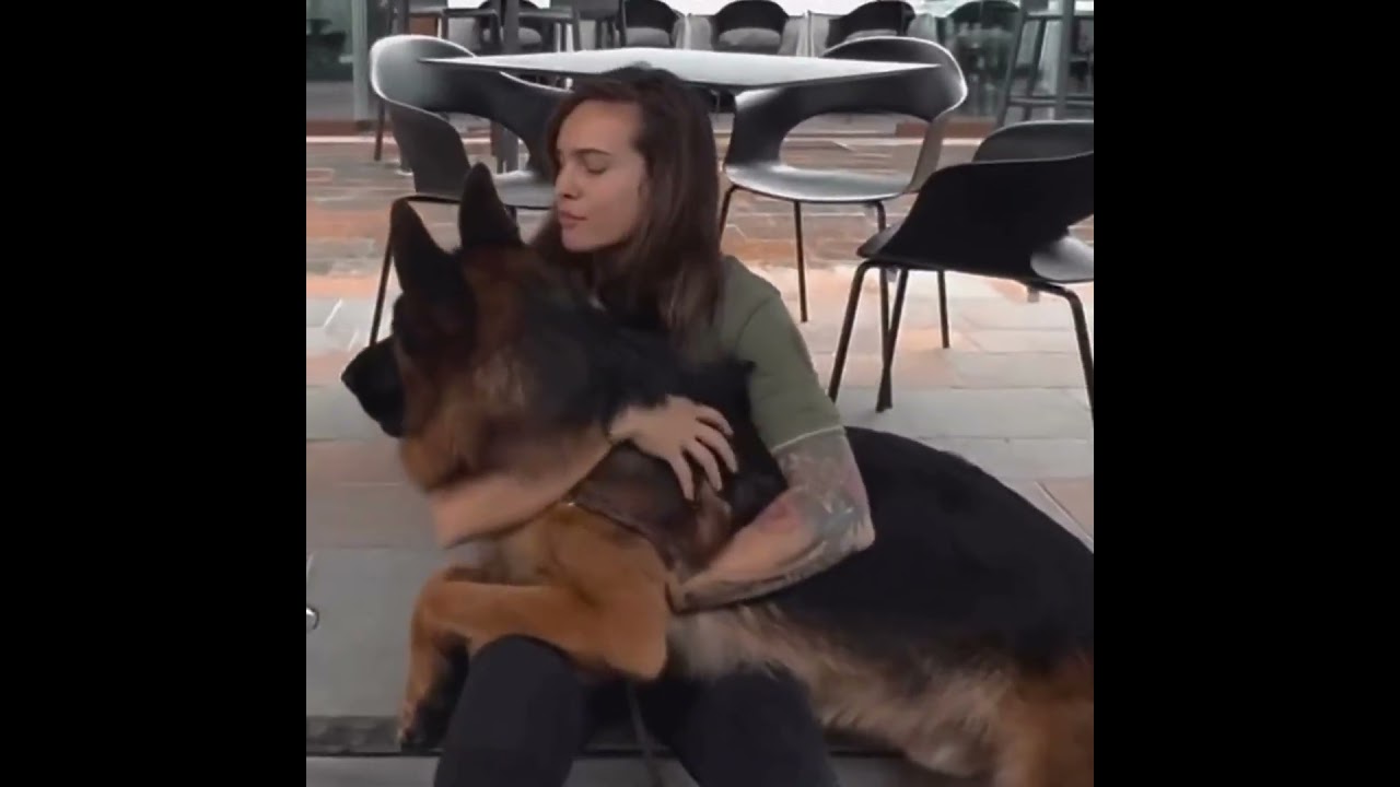 carlotta et son chien nathan dog-sitter-carlotta.ch genève  