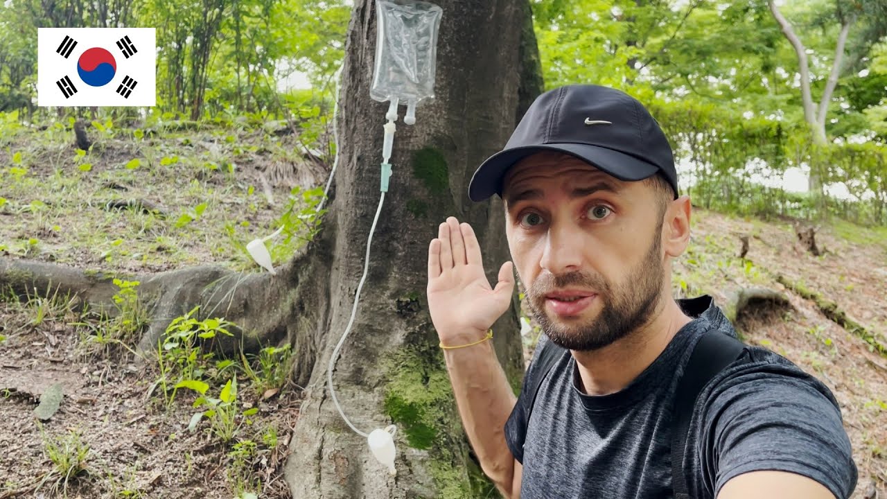 COPACII cu PERFUZII din Coreea! Lucruri inedite pe care le intalnesti doar aici