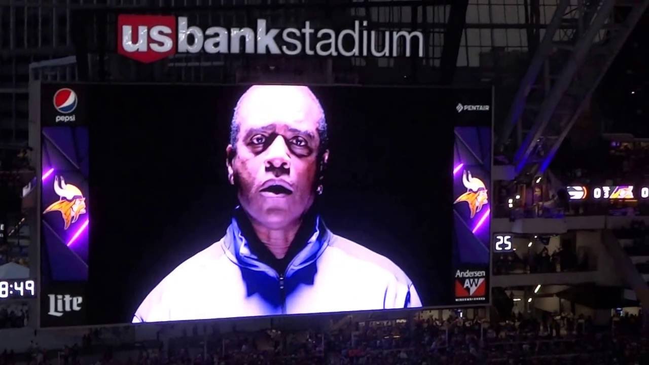 Minnesota Vikings 2016