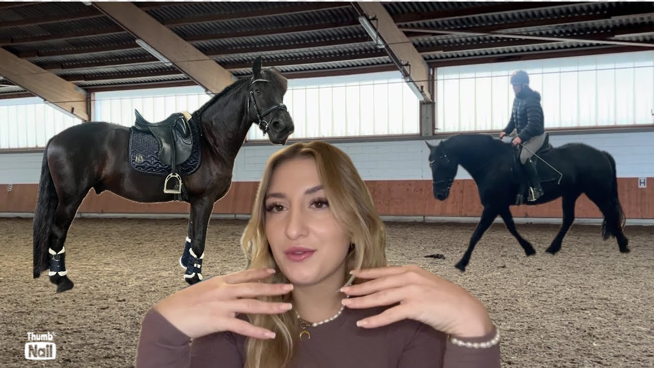 Ich kommentiere mein Reittraining