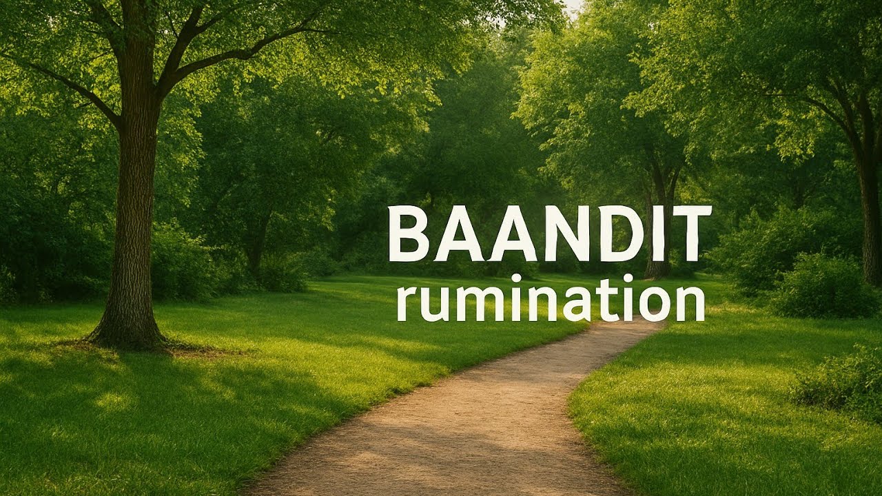 BAANDIT! - rumination 