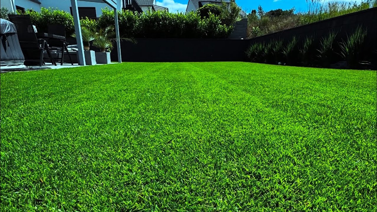 Poa Supina - Ist die Rasen-„Diva“ was für jeden Garten? 🌱 / Sommerdünger ausgebracht ✅