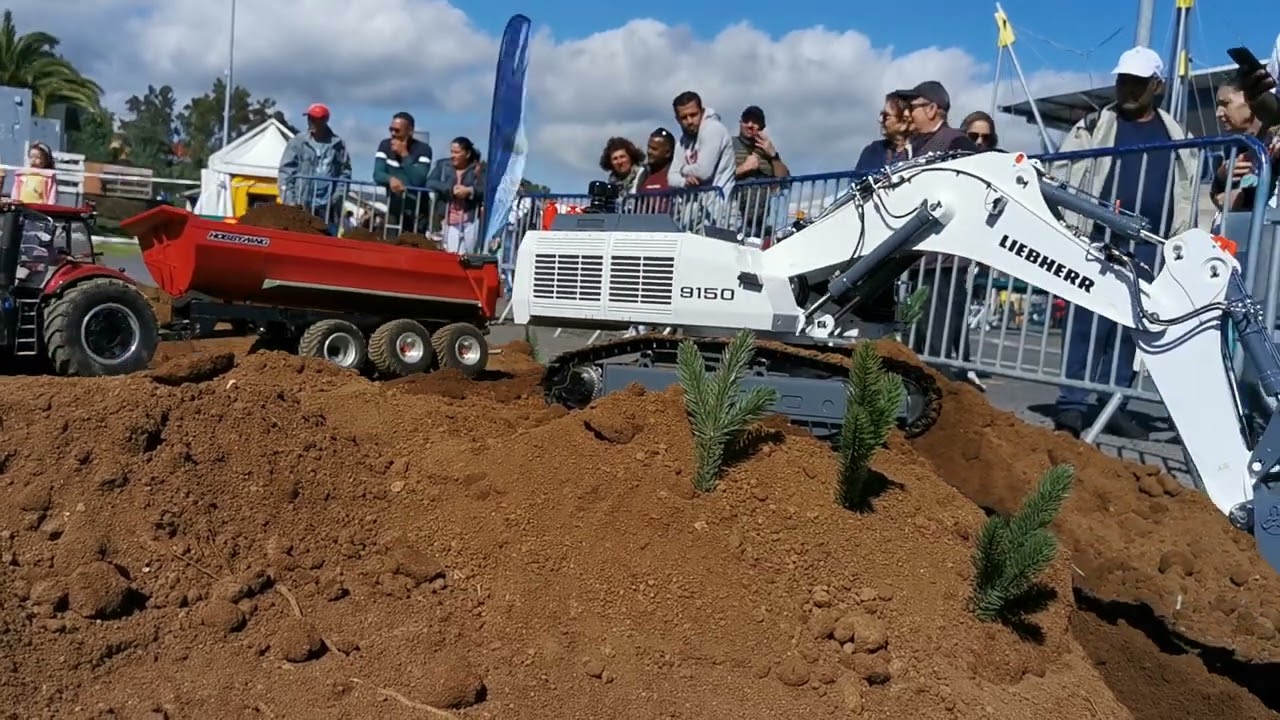 lesu lieehber 9150 excavator