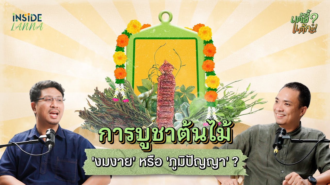 แต้อี้ แต้กะ EP.13 | ล้านนากับการบูชา 'ต้นไม้'