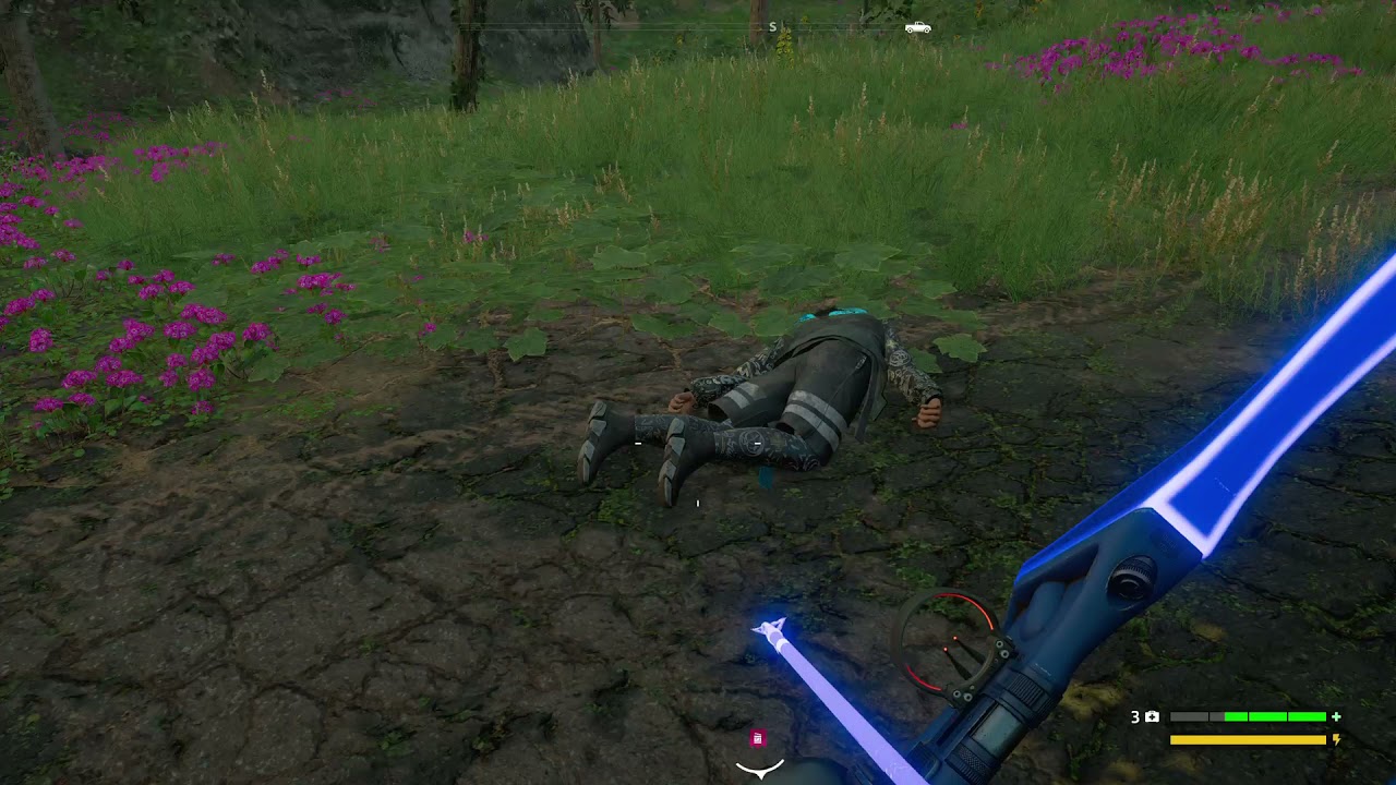 Far cry new dawn coop