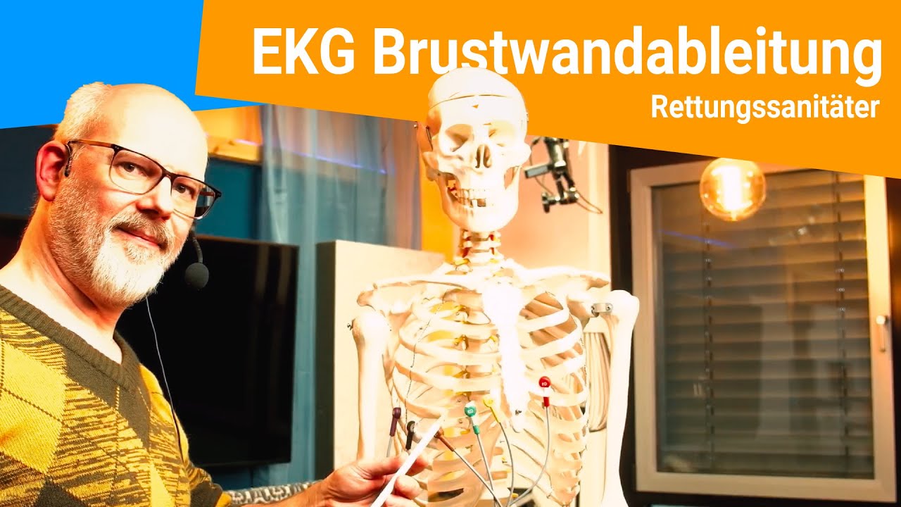 EKG Brustwandableitung nach Wilson / 12-Kanal EKG