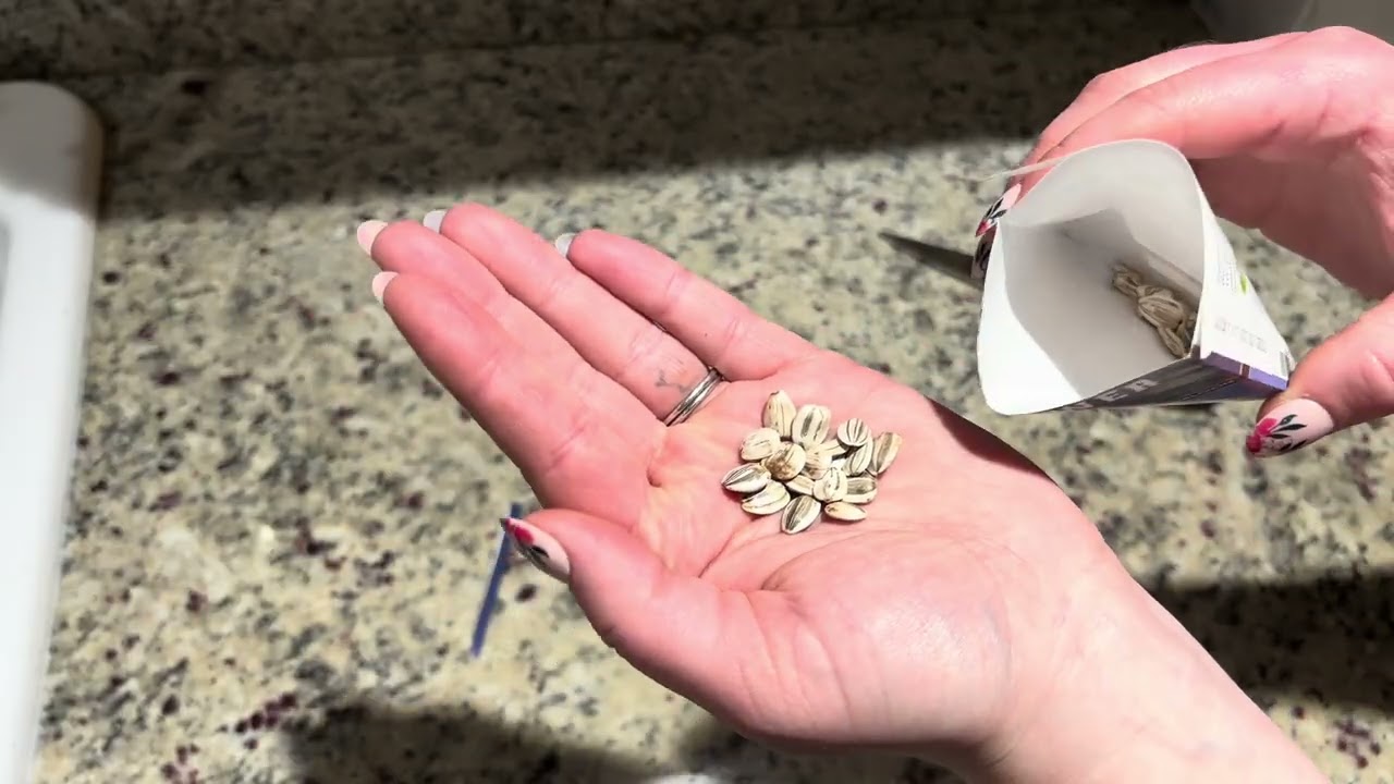 I Grabbed These Heirloom Garden Seeds and Honestly... They Are Kind of Amazing