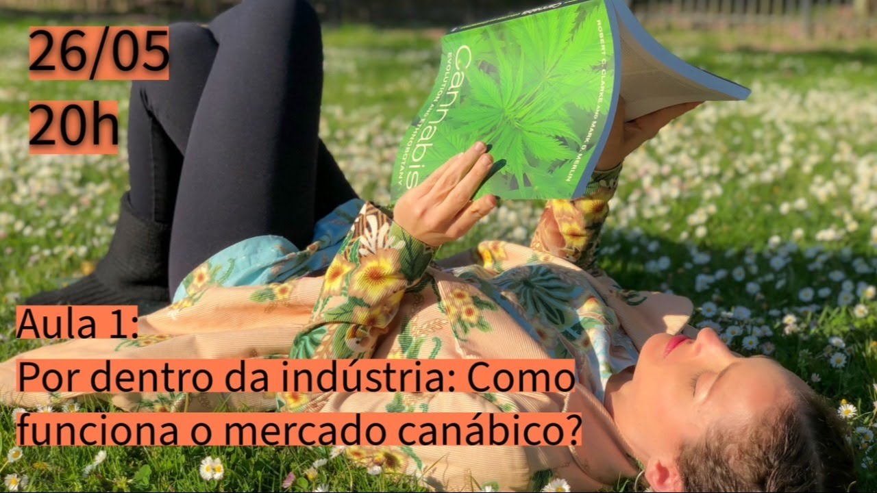Aula 1: Por dentro da indústria: Como funciona o mercado canábico?
