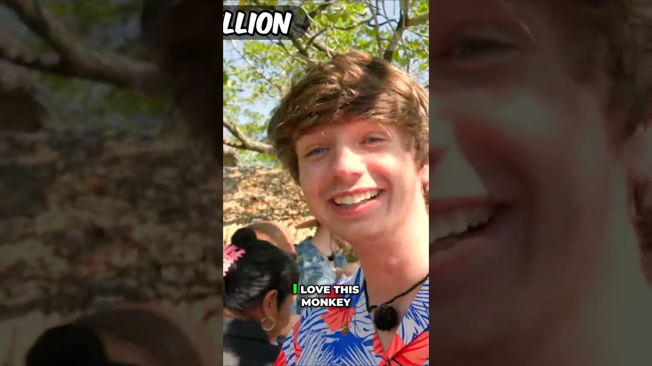 Funny Monkey Hijinks  Watch as Monkeys Steal Our Food and GoPro!