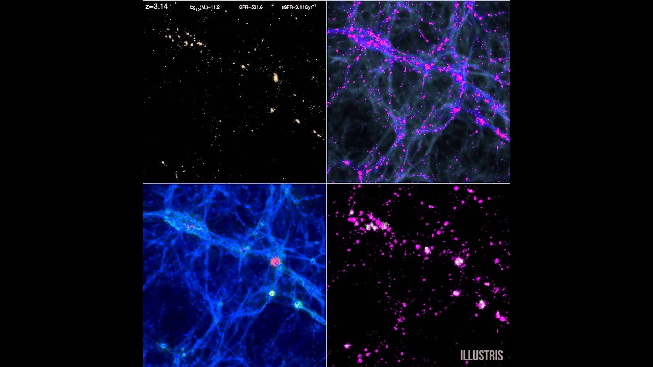 Stars, Gas, Temperature and Metallicity in the Illustris Simulation