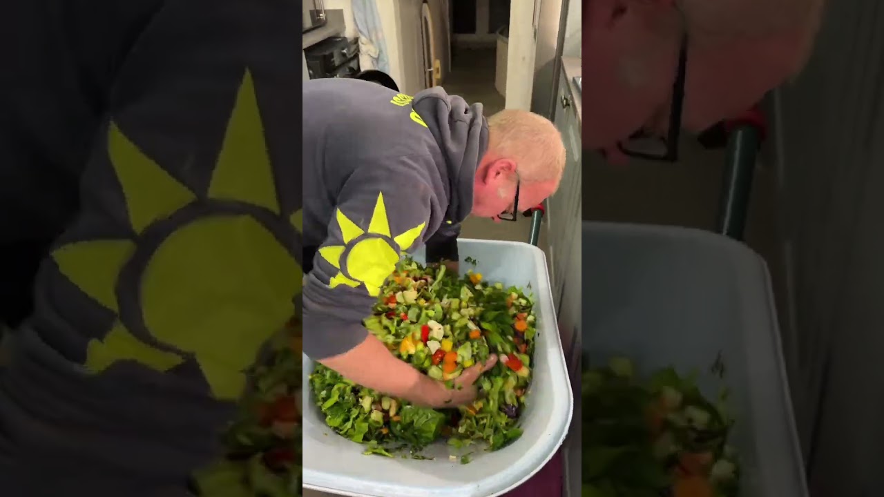 Полное руководство по кормлению морских свинок! Кормление 140 из них одновременно!