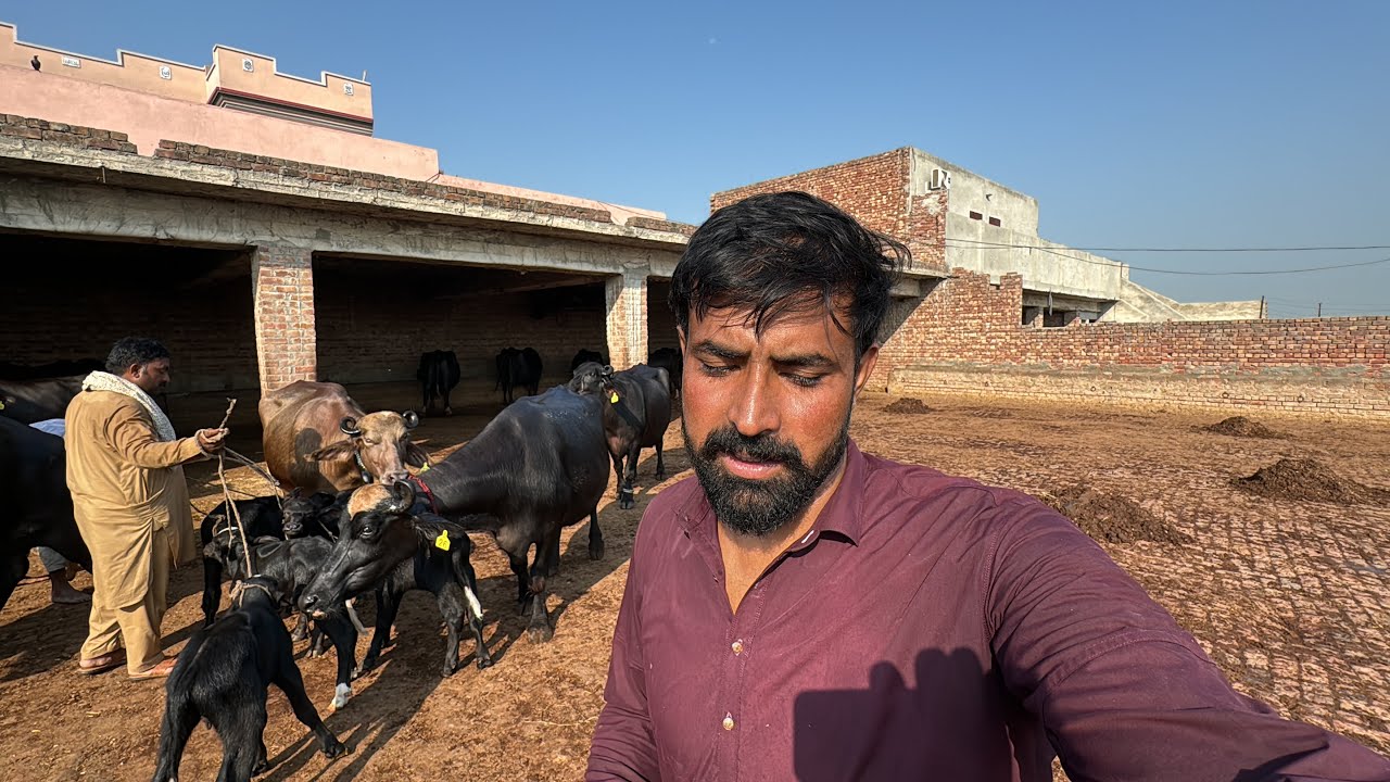 Waqar Bhinder Daily Routine Work❤️❤️