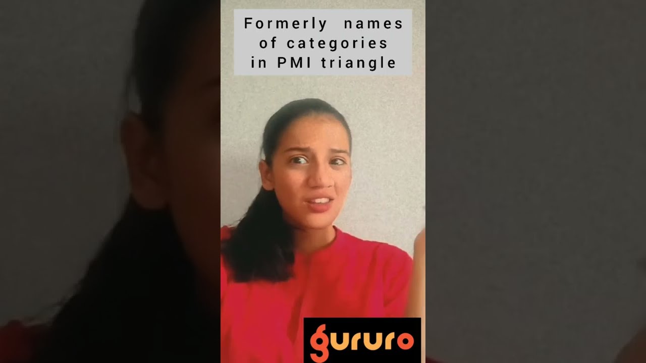 New PMI Talent Triangle and it's name