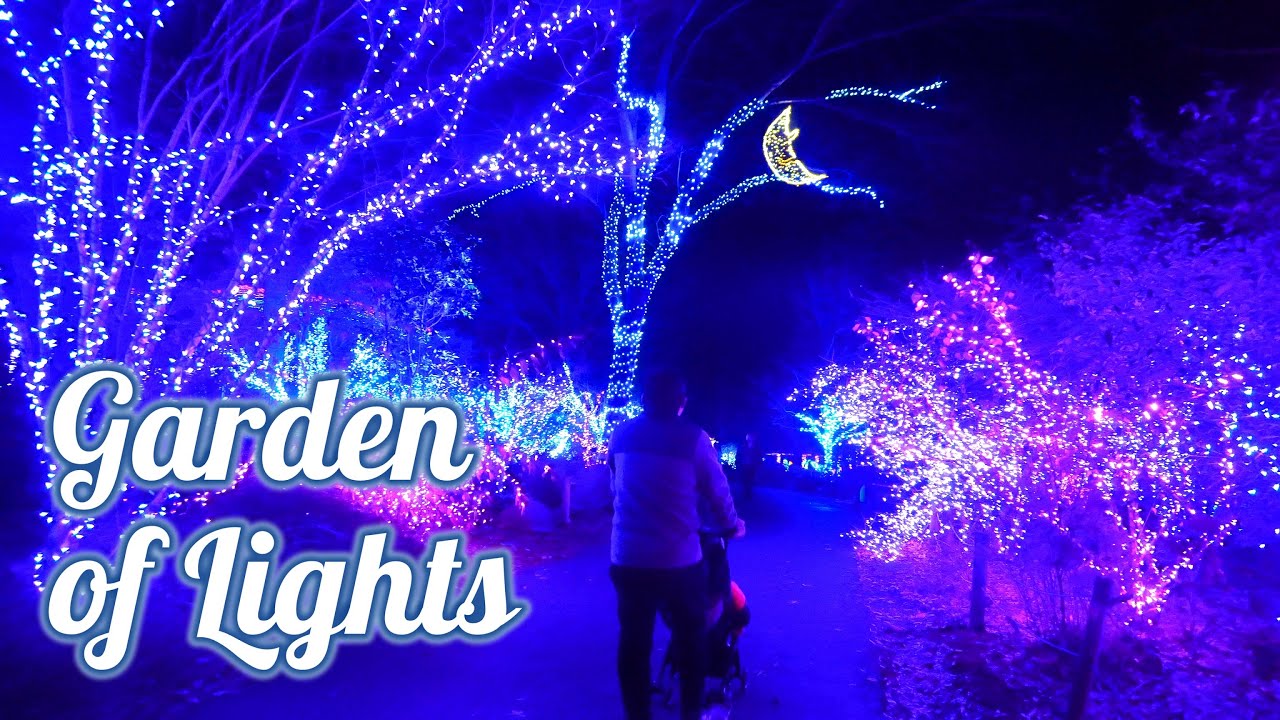 Amazing Garden of Lights at Brookside Gardens | Walk Tour | Wheaton, Maryland, USA Christmas 4K UHD