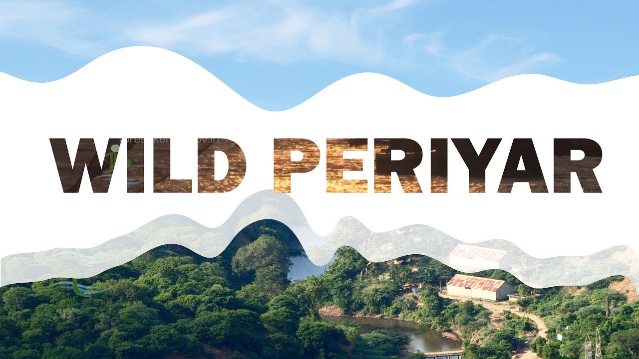 Wild Periyar River | Periyar Wildlife and Kodanad Elephant Training Centre | Rivers in Kerala