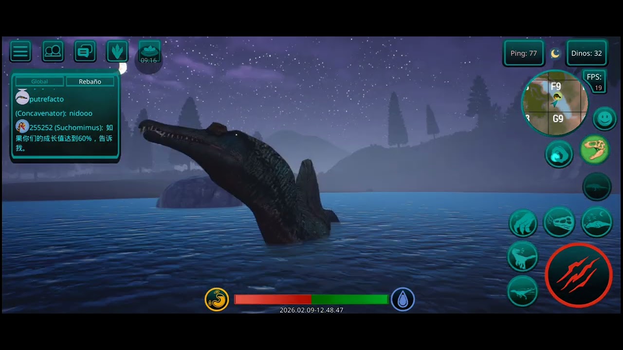 Video de reñeno | spino