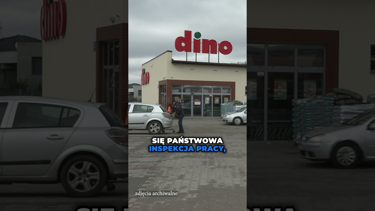 Dino zwalnia kierowniczkę. Zandberg interweniuje