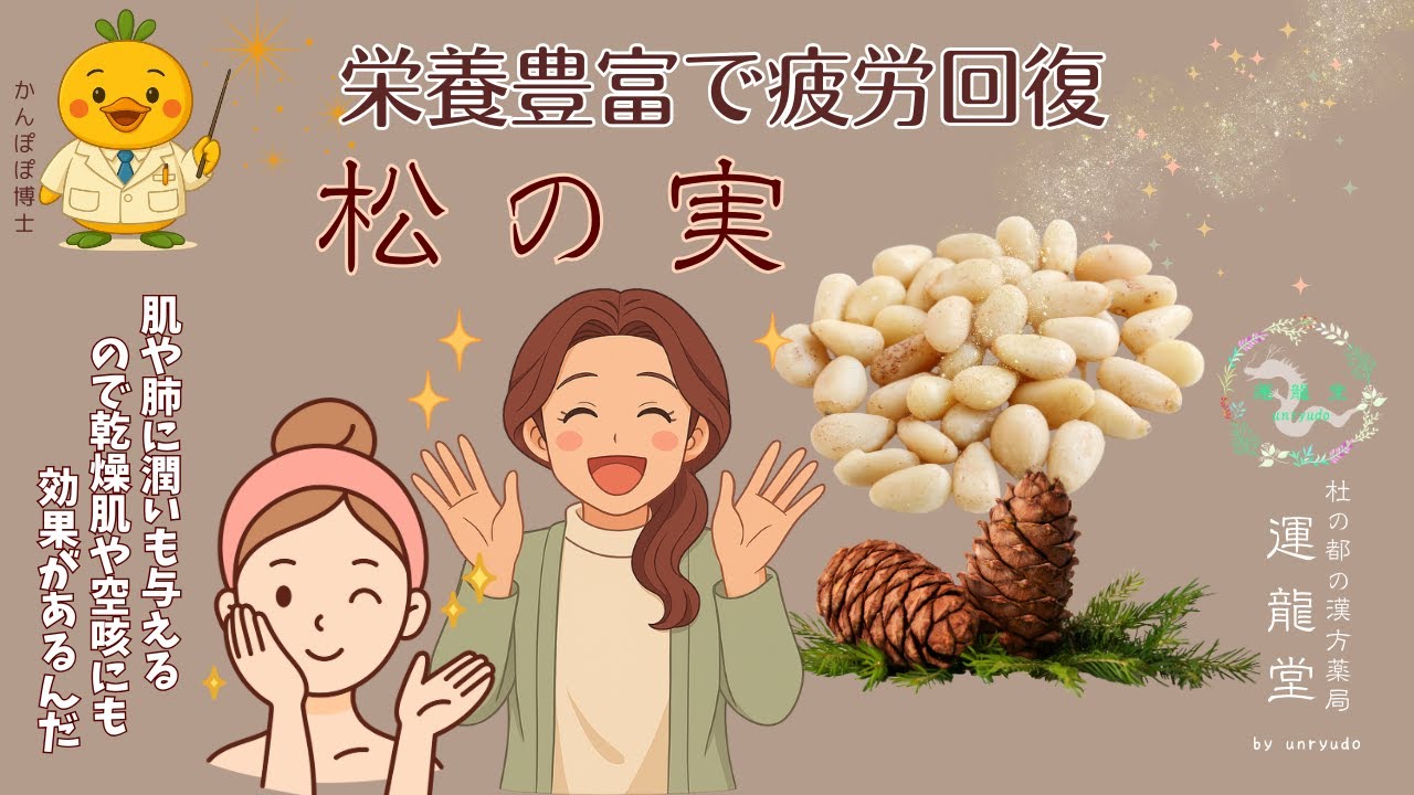 【松の実について】栄養豊富で疲労回復