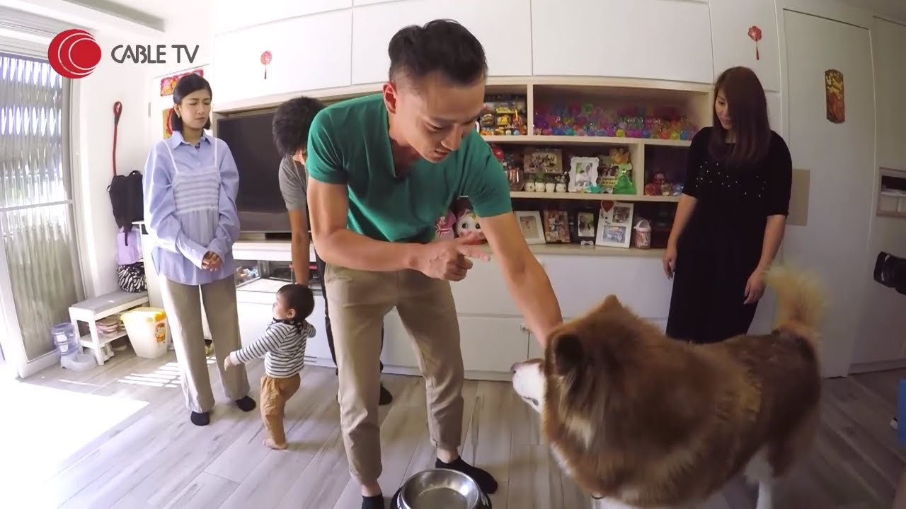 巨犬雪撬作勢圖咬BB 問題出在狗主無法分辨犬隻信息 助長BB試探狗狗底線 Eric Ko教餵食時教狗仔規矩【煉狗術師S2 EP4-2】