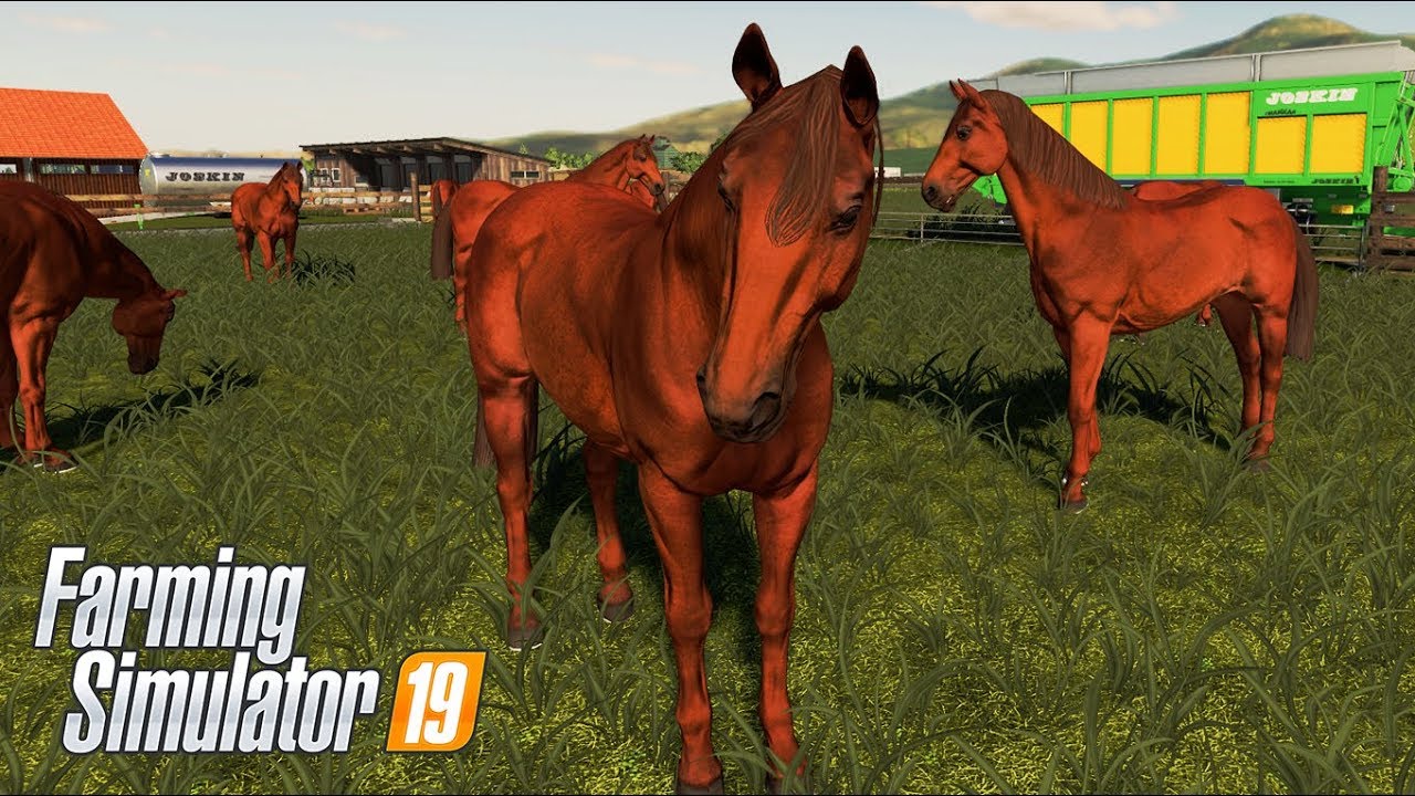 JAK HODOWAĆ KONIE ??? - Farming Simulator 19 #34 [PORADNIK]